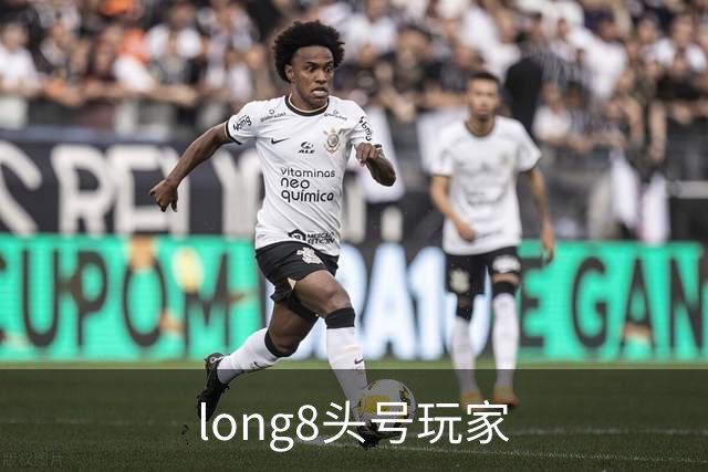 long8头号玩家公司简介展示图